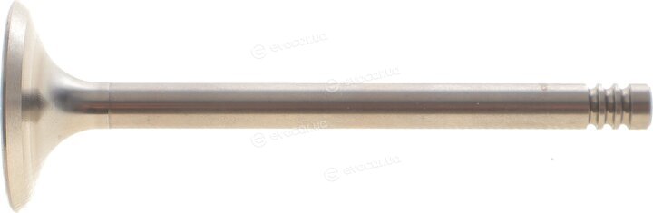 AMP PFOR011-S-0-N