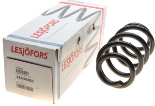Lesjofors 4004287