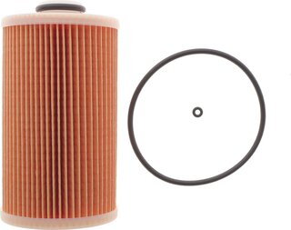 Hengst E490KP D484