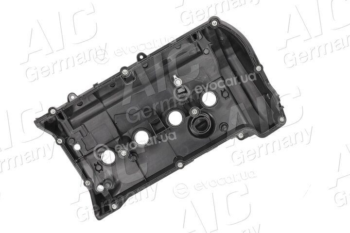AIC 58176