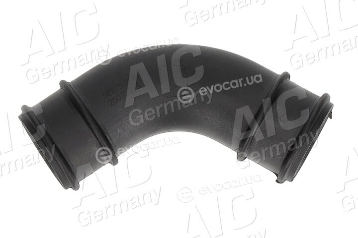 AIC 56875