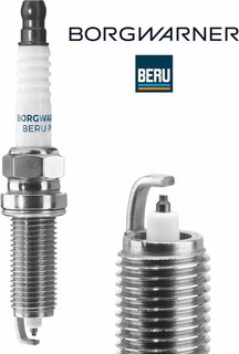 BorgWarner Z325