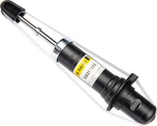 Raiso RS317613