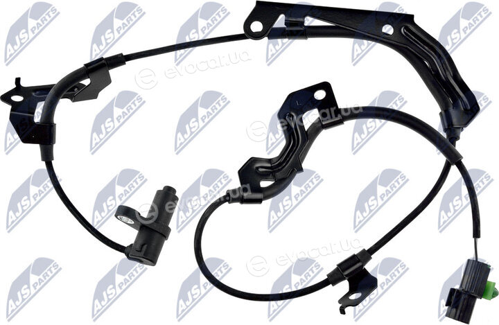 NTY HCA-MS-051