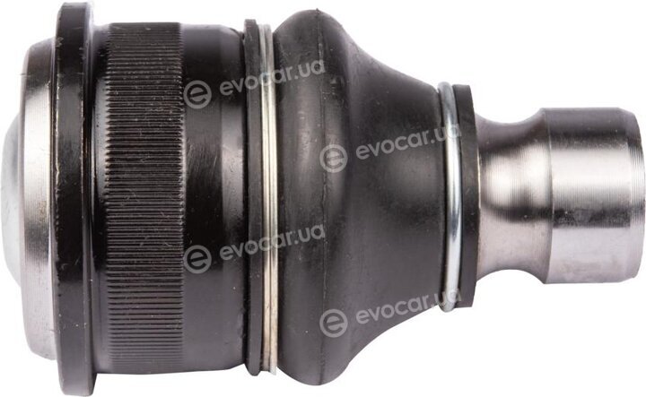 Raiso RL770031R