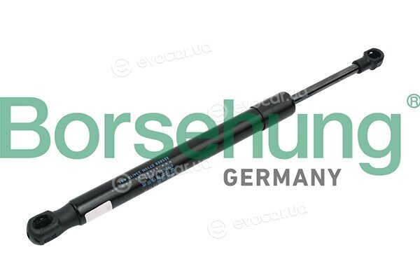 Borsehung B14190