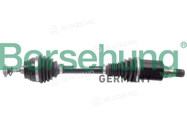 Borsehung B12494