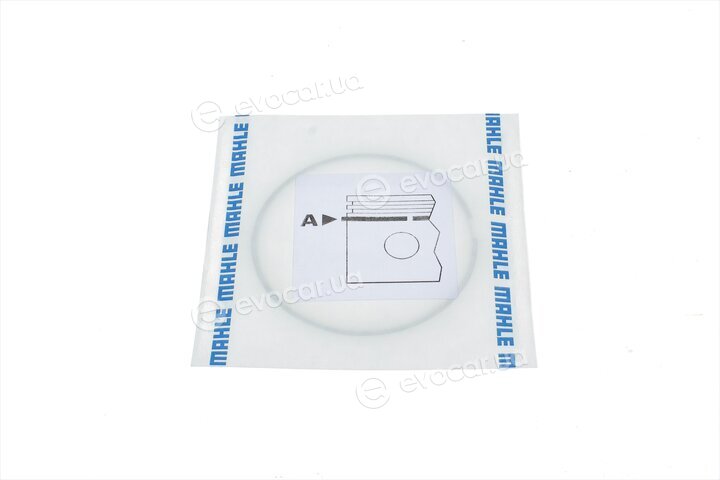 Mahle 009 81 N2