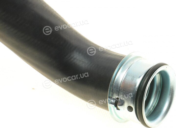 Solgy 114253
