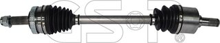 GSP 224216