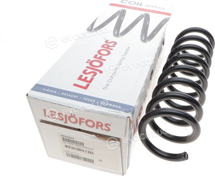 Lesjofors 4056824