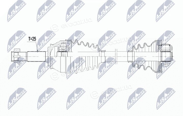 NTY NPW-FT-023