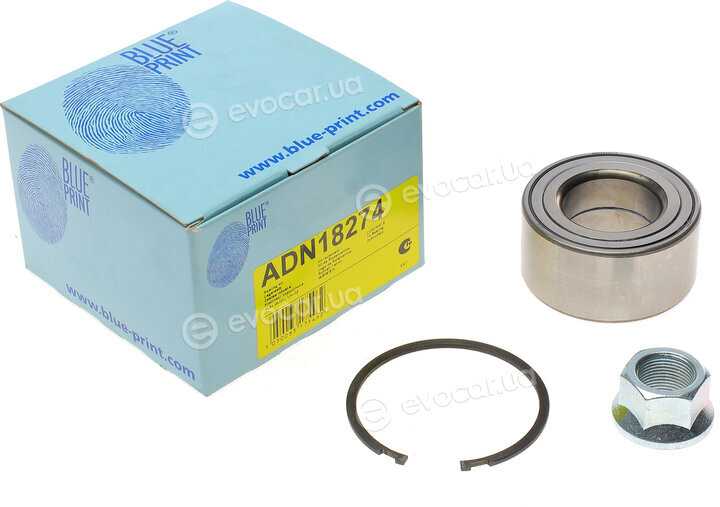 Blue Print ADN18274