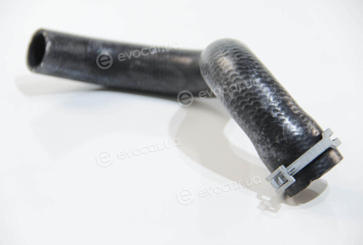 Rapro R12712