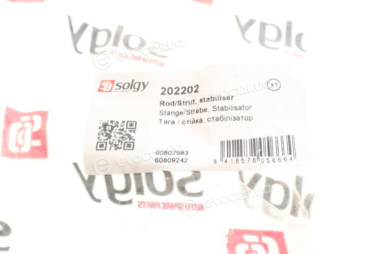 Solgy 202202