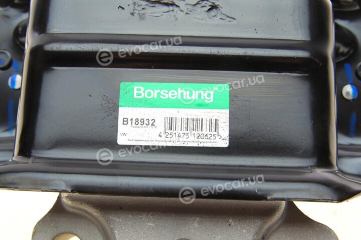 Borsehung B18932
