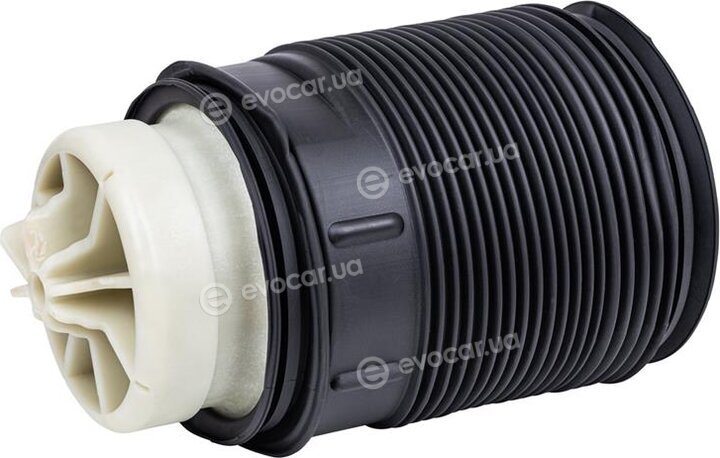 Starline TL V00017