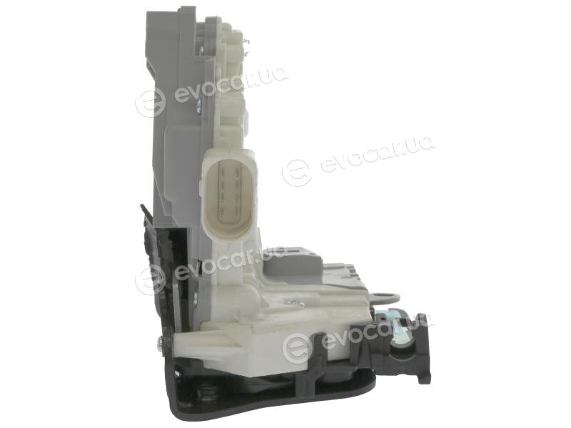 AIC 55963