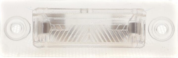 Rotweiss RWS1377