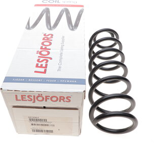 Lesjofors 4272957