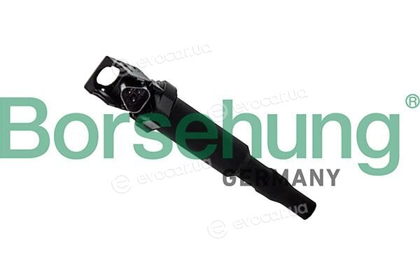 Borsehung B10695