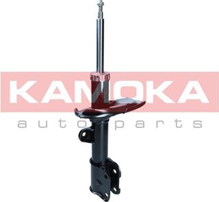 Kamoka 2001125