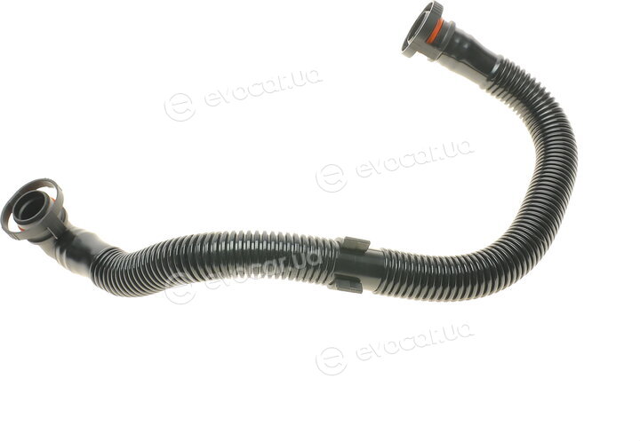 AIC 55953