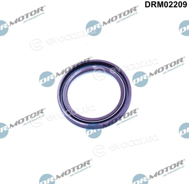 Dr. Motor DRM02209