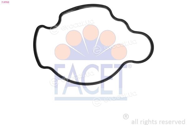 Facet 7.9750