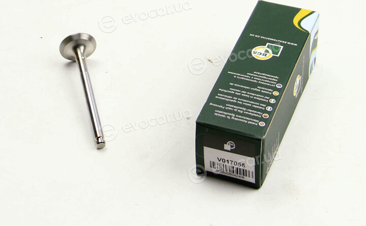 BGA V017055
