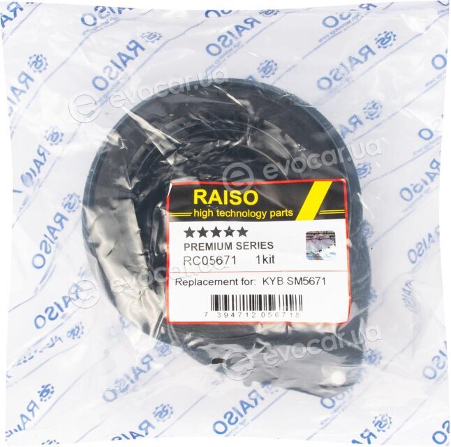 Raiso RC05671