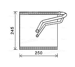 Ava Quality VNV387