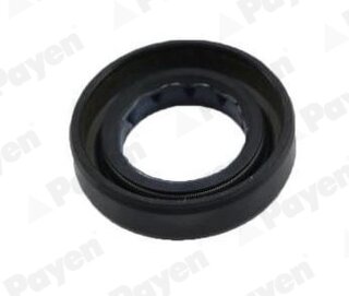Payen NJ444
