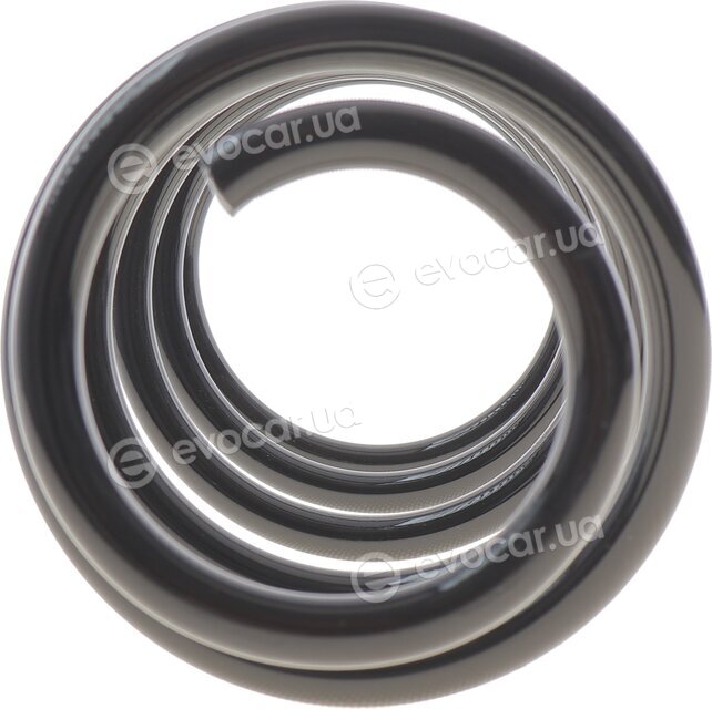 Solgy 212101