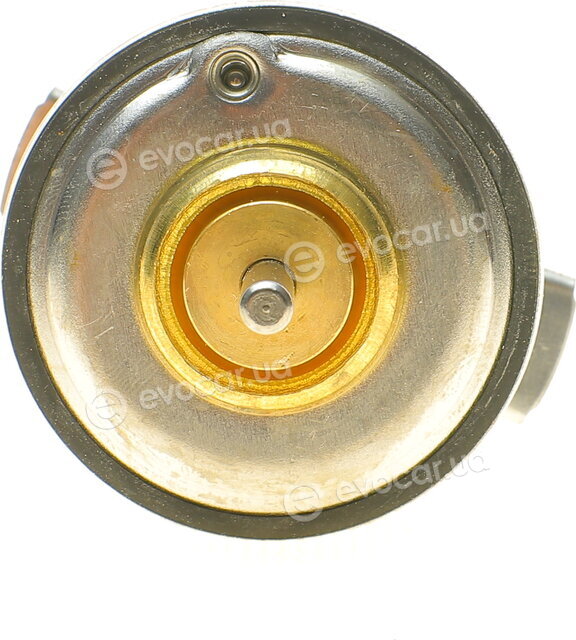 Mahle TX 474 92D