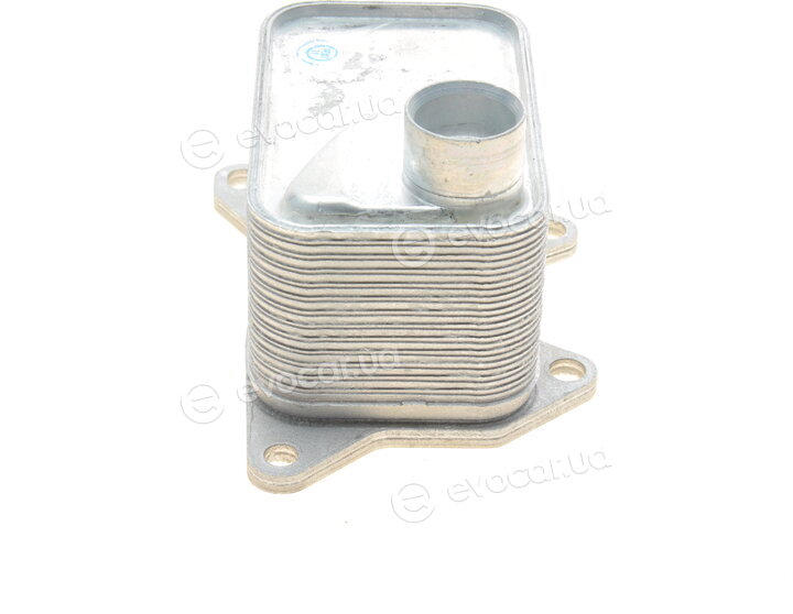 Van Wezel 58013704