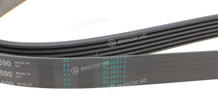 Continental 6PK1590