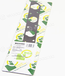 BGA MG5589