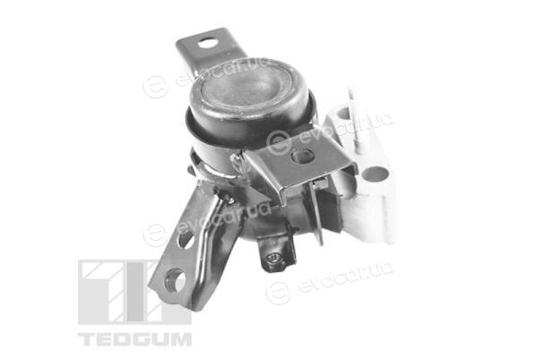 Tedgum TED13922