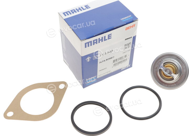 Mahle TX 3 83D