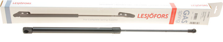 Lesjofors 8156805