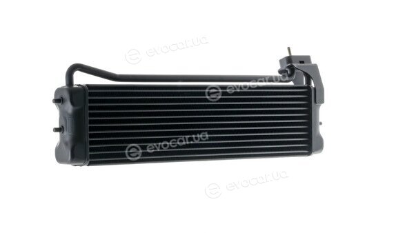 Mahle CLC 110 000P