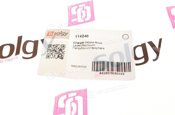 Solgy 114248