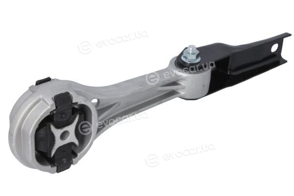 Reinhoch RH11-0170