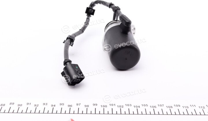 BorgWarner DS118613