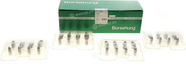 Borsehung B18207