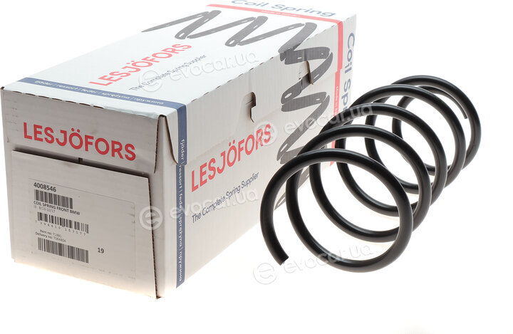 Lesjofors 4008546
