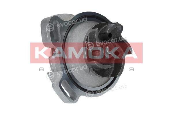 Kamoka T0275