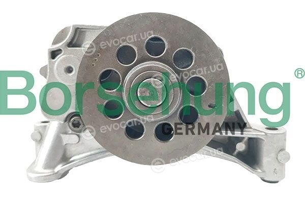 Borsehung B11908