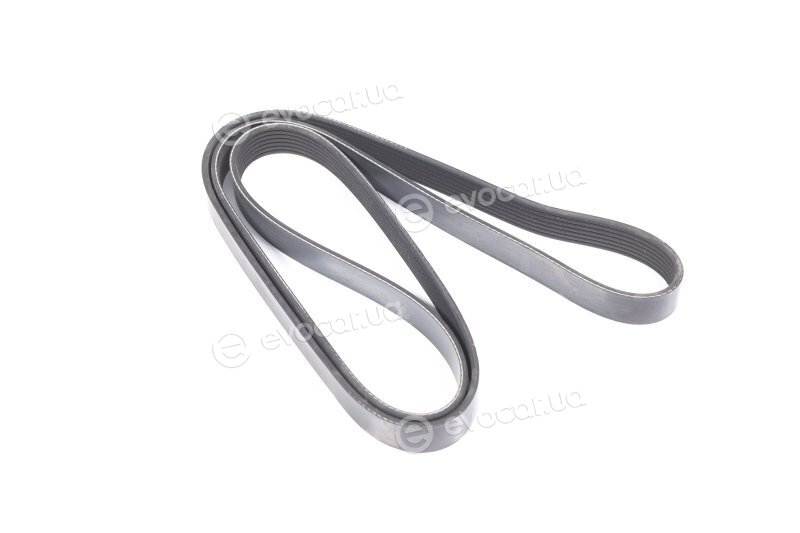 Dayco 7PK1835